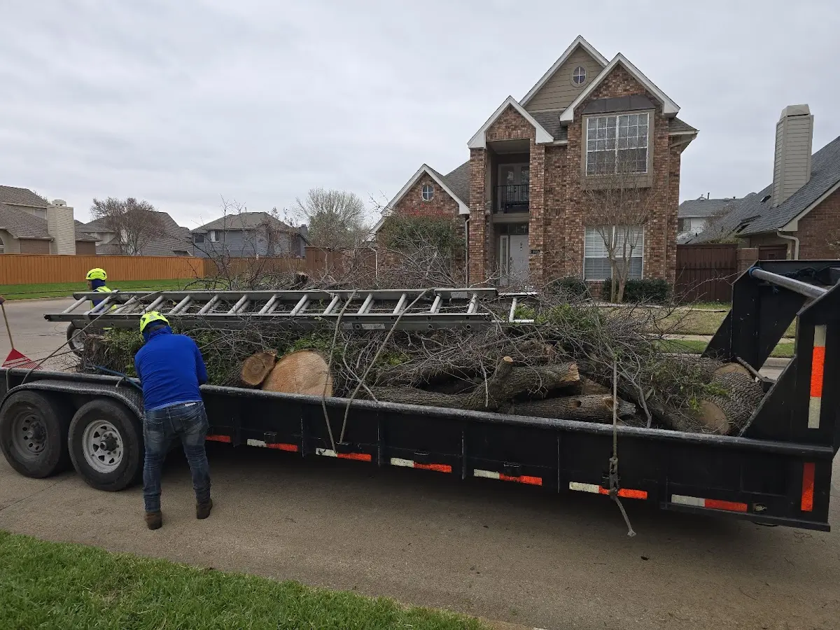 Expert Crown Reduction with proper safety equipment in Deer Creek